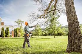 Best Tree Preservation Services  in Pennington Gap, VA