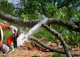 Best Lot and Land Clearing  in Pennington Gap, VA